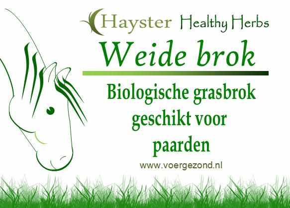 Hayster Healthy Herbs Weidebrok